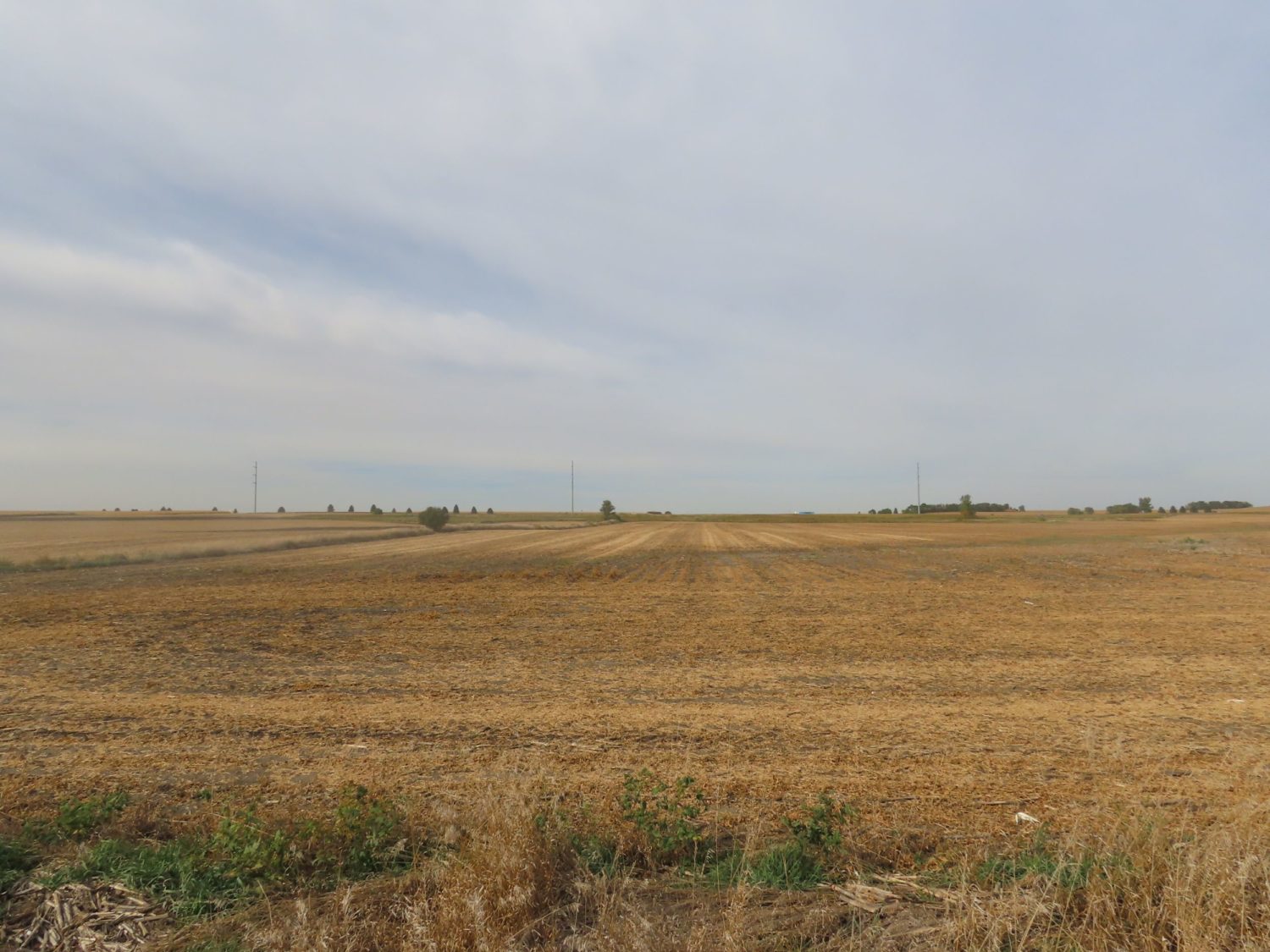 142.75 Acres of Nobles County Farmland at Auction!  - image 4