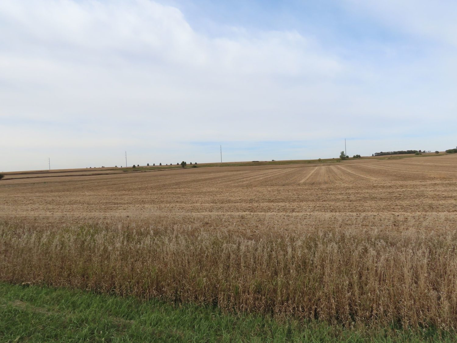 142.75 Acres of Nobles County Farmland at Auction!  - image 6