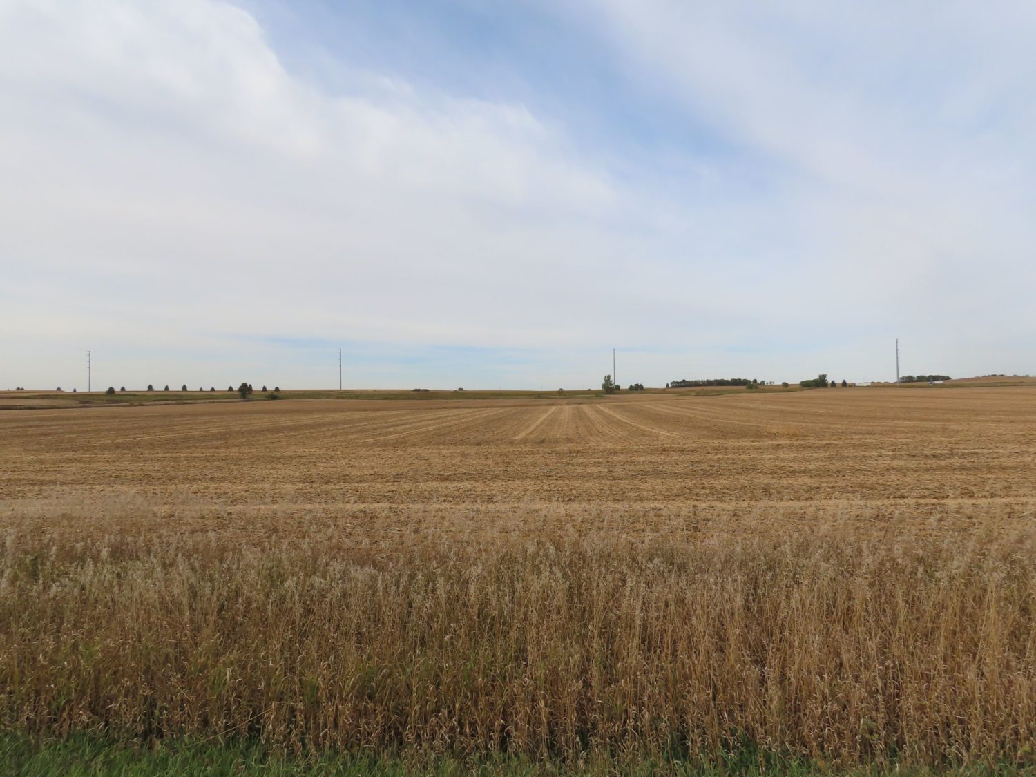 142.75 Acres of Nobles County Farmland at Auction!  - image 1