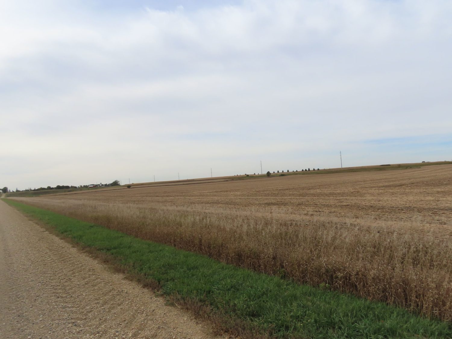 142.75 Acres of Nobles County Farmland at Auction!  - image 20