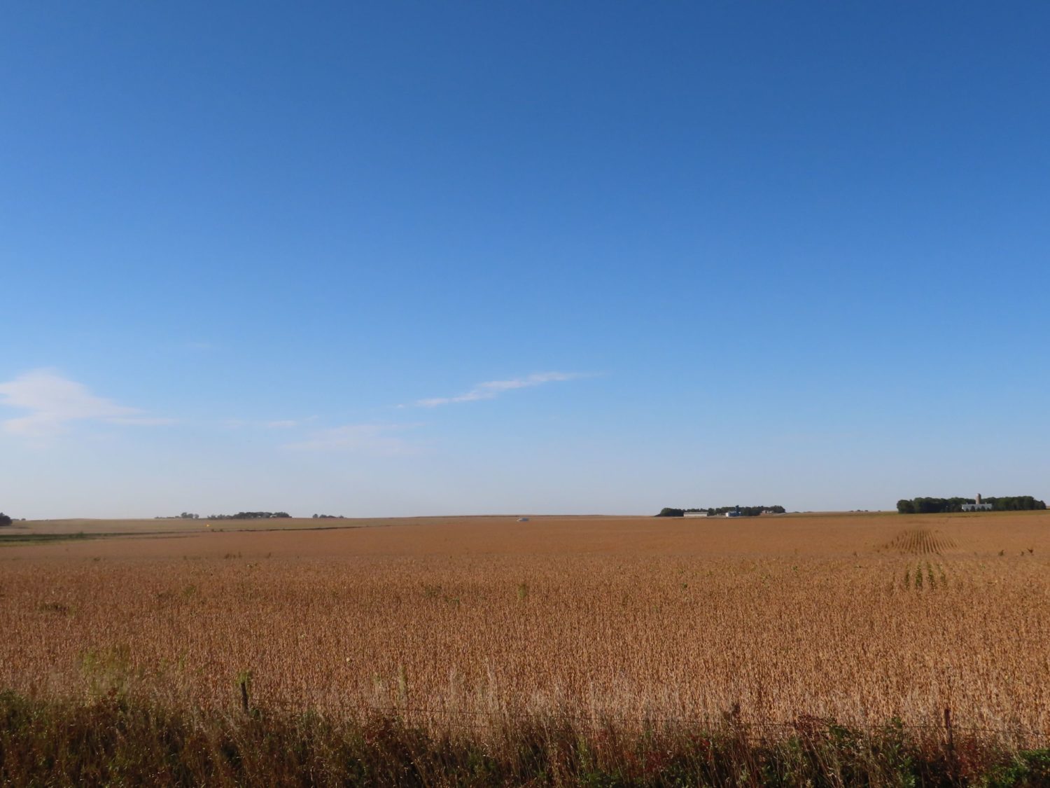 131.28 acres Highly Productive Springwater Township-Rock County Farmland at Auction!  - image 2