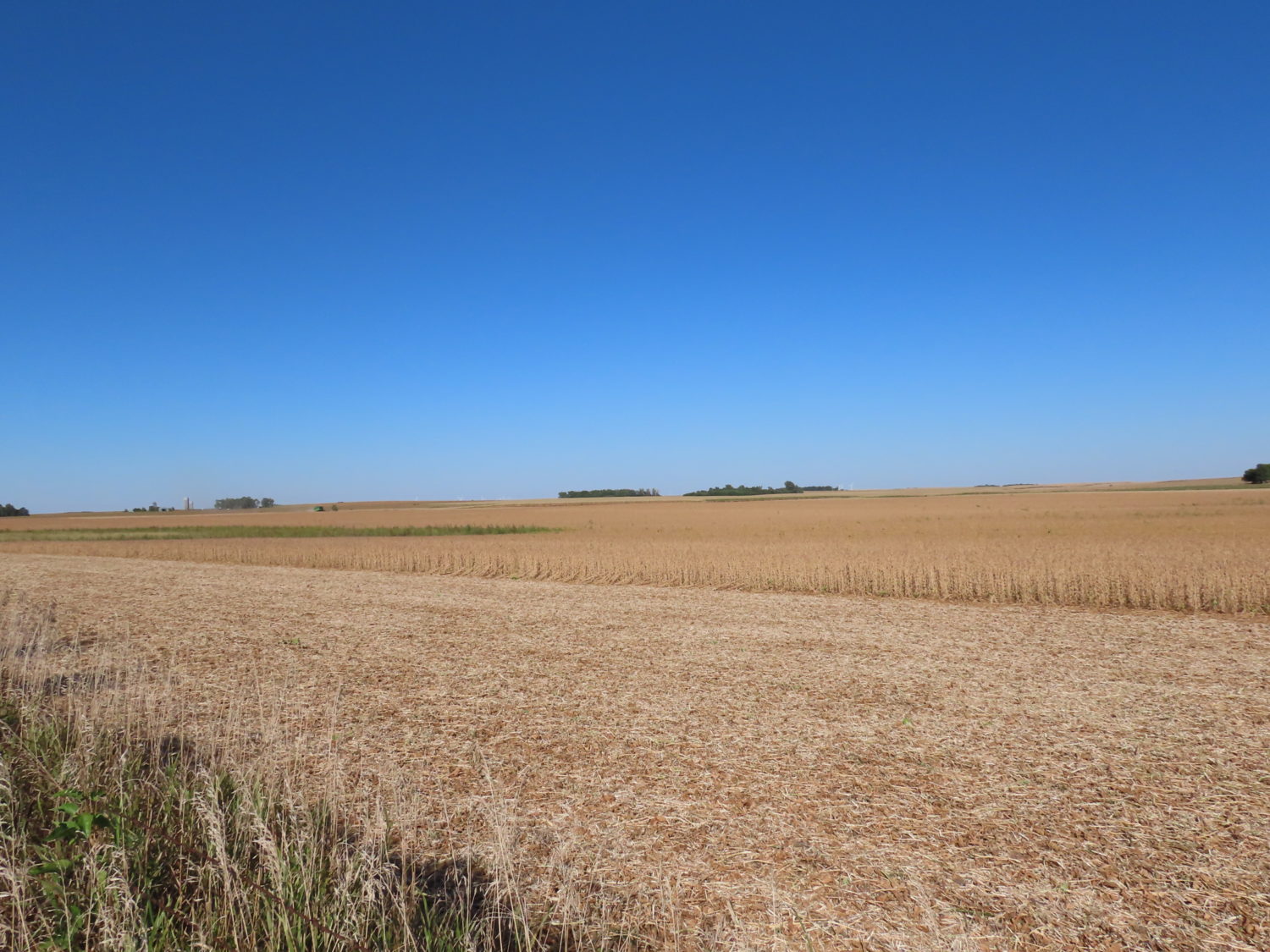 131.28 acres Highly Productive Springwater Township-Rock County Farmland at Auction!  - image 7