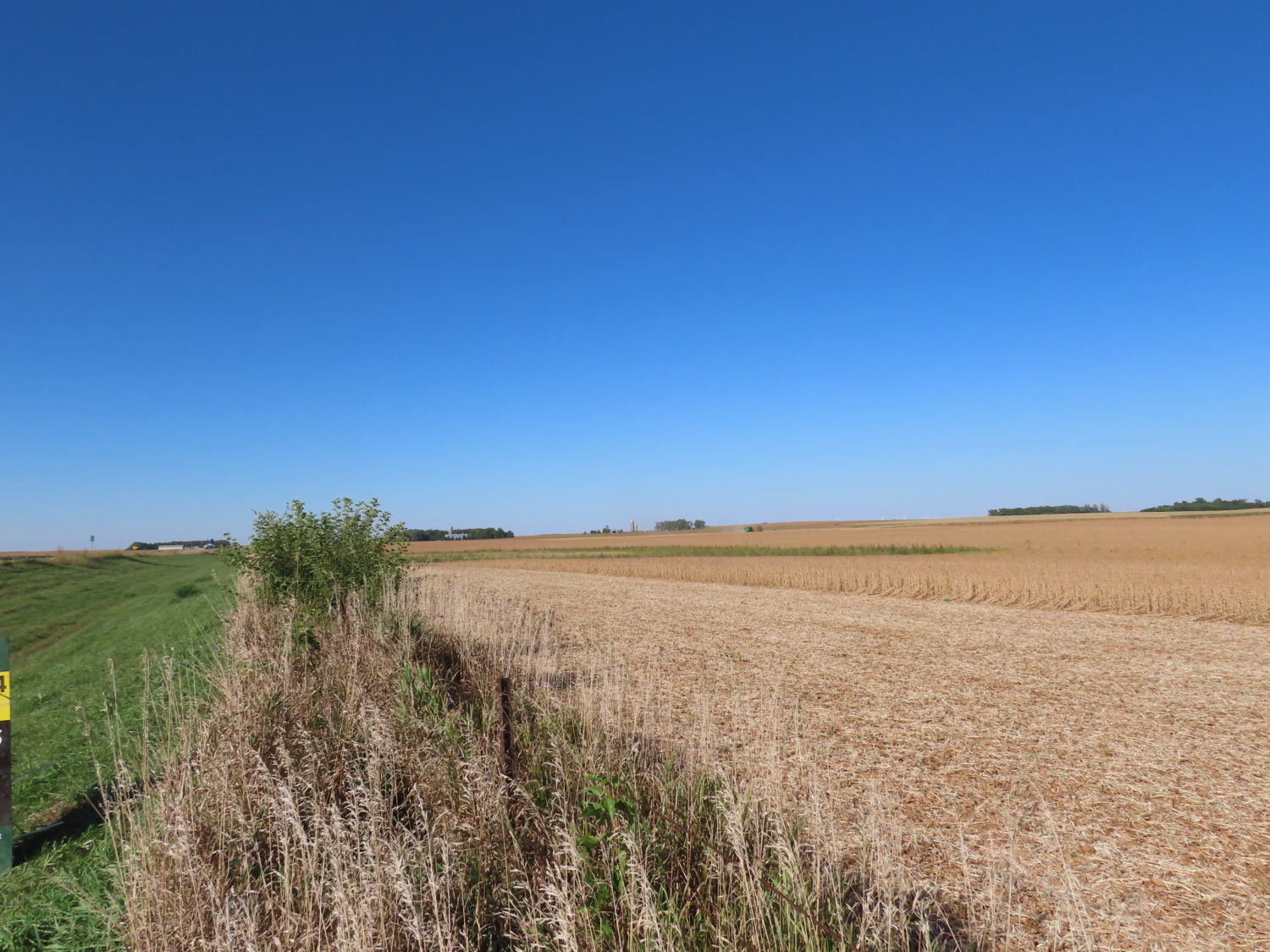 131.28 acres Highly Productive Springwater Township-Rock County Farmland at Auction!  - image 8