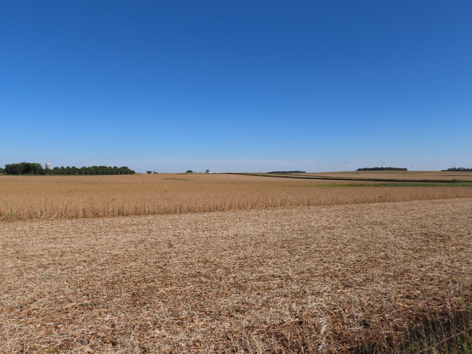 131.28 acres Highly Productive Springwater Township-Rock County Farmland at Auction!  - image 9