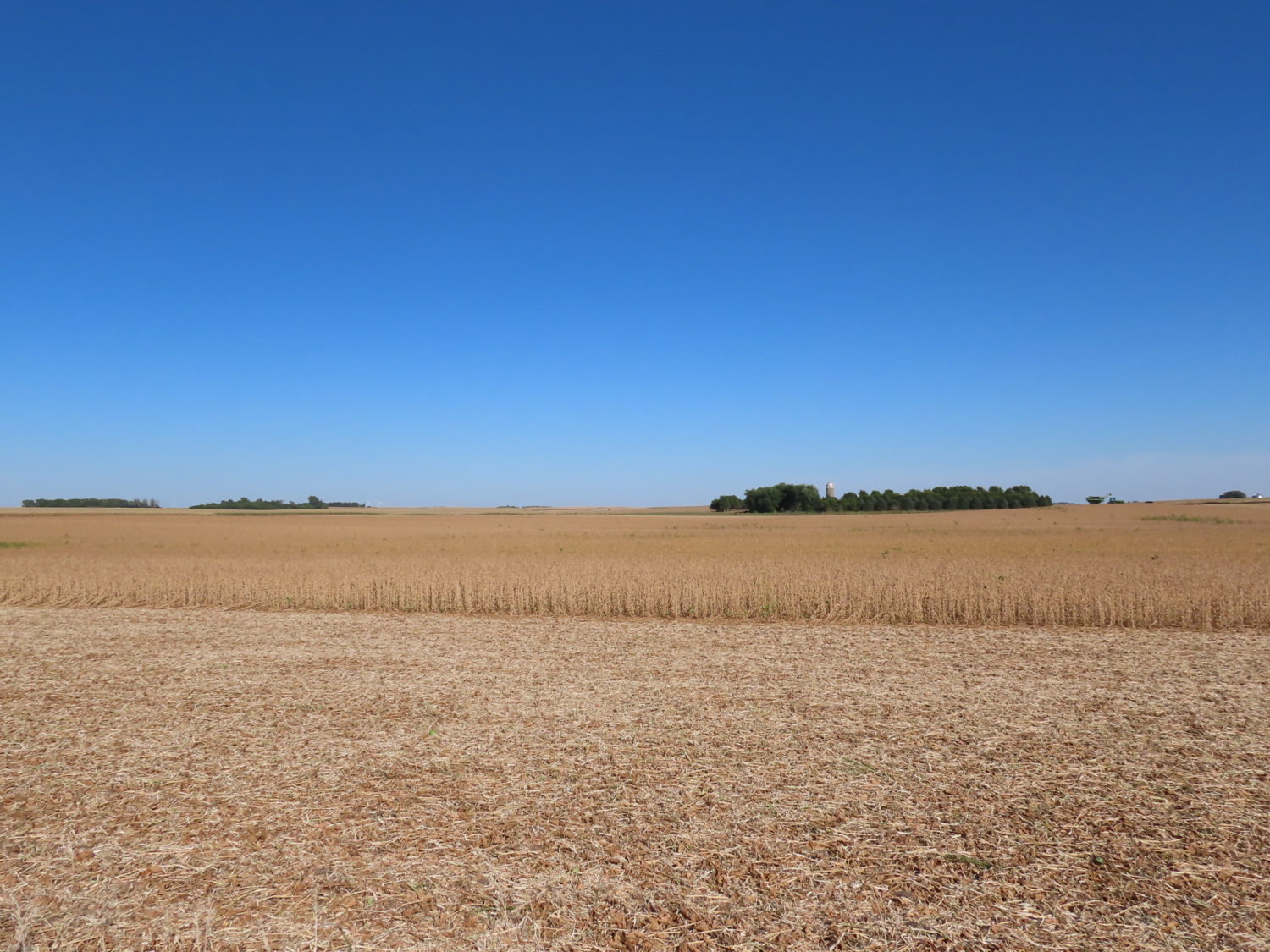 131.28 acres Highly Productive Springwater Township-Rock County Farmland at Auction!  - image 1