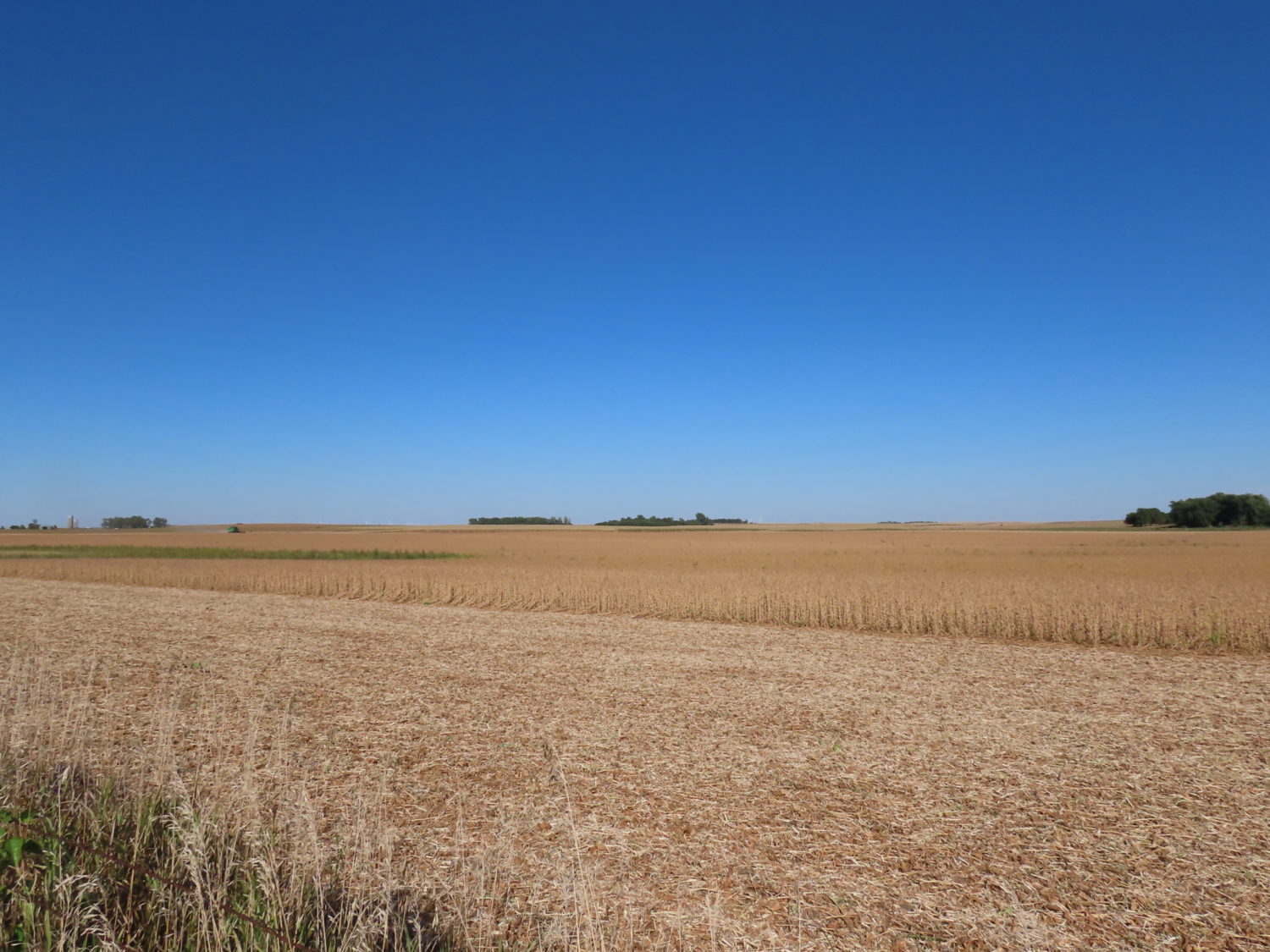 131.28 acres Highly Productive Springwater Township-Rock County Farmland at Auction!  - image 10