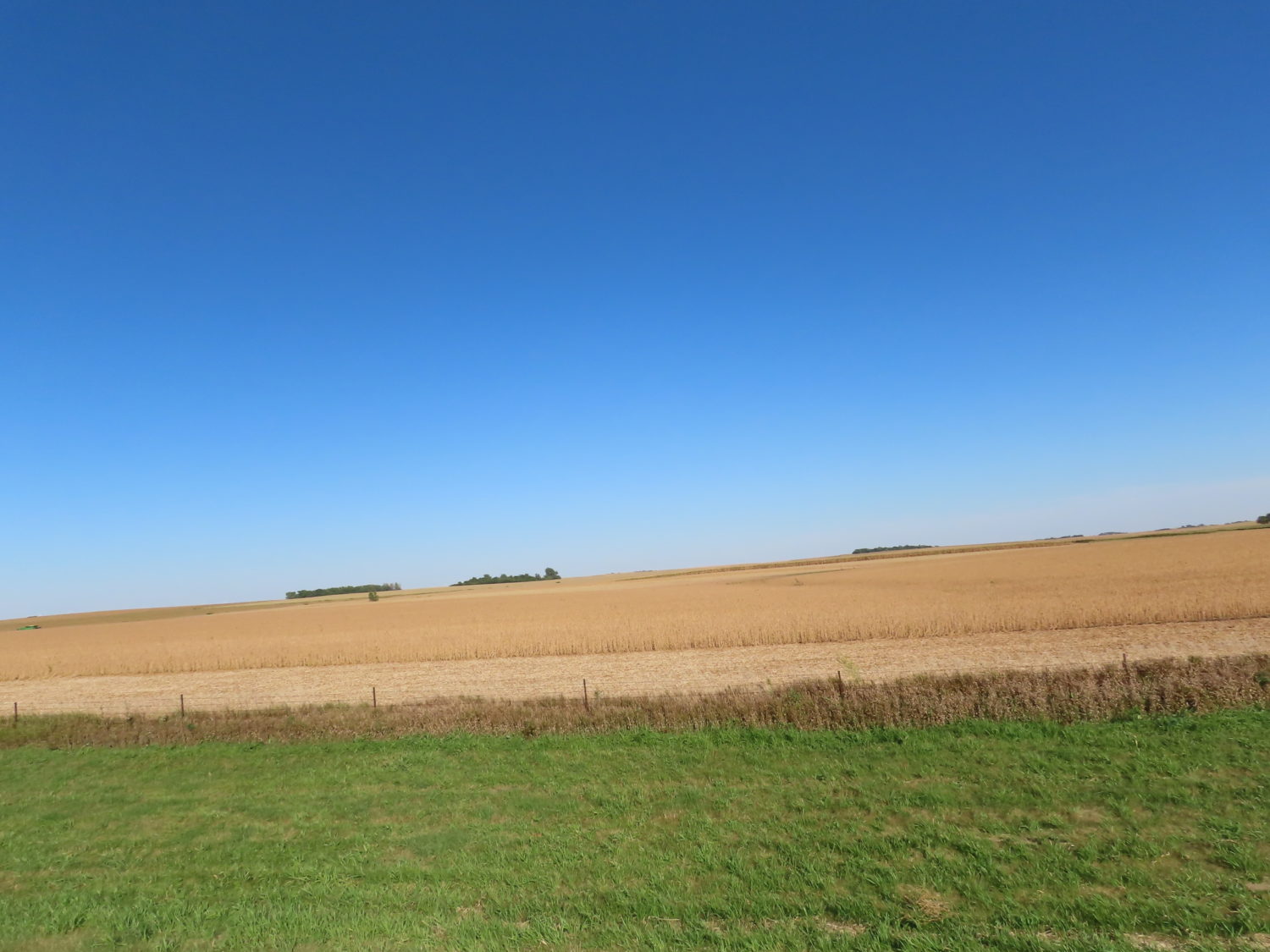 131.28 acres Highly Productive Springwater Township-Rock County Farmland at Auction!  - image 12