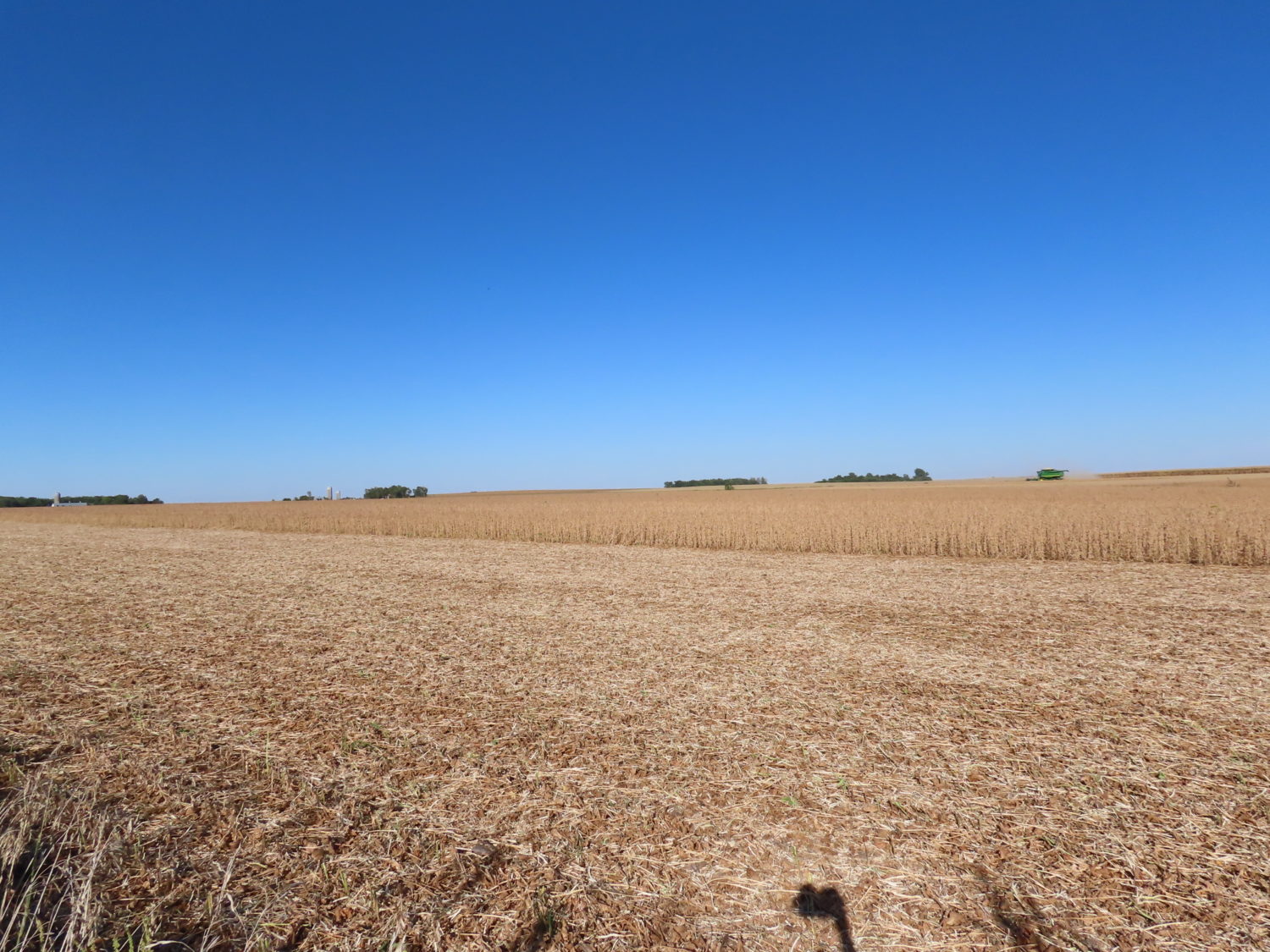 131.28 acres Highly Productive Springwater Township-Rock County Farmland at Auction!  - image 13