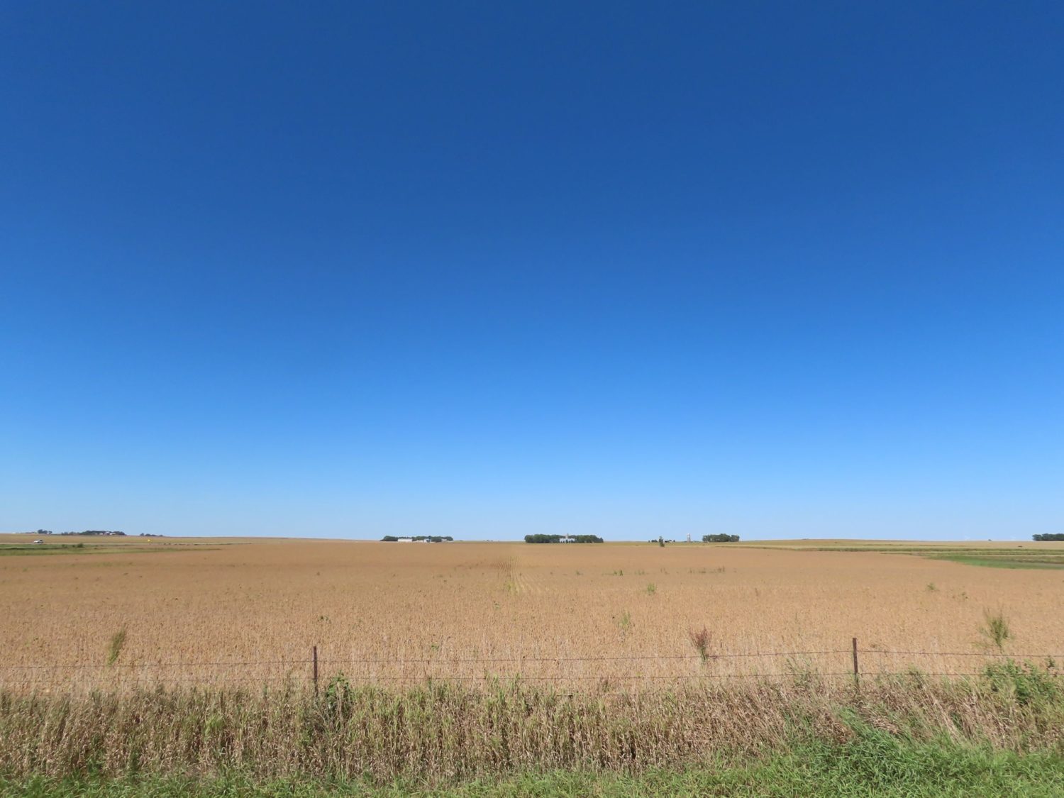 131.28 acres Highly Productive Springwater Township-Rock County Farmland at Auction!  - image 3