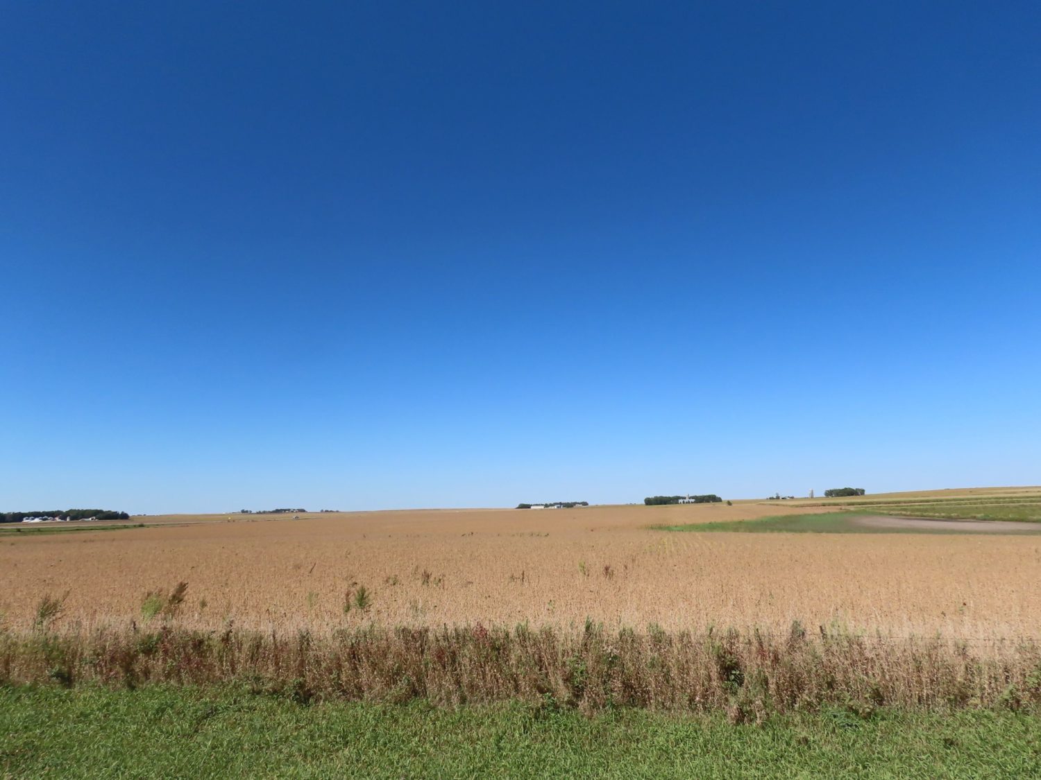 131.28 acres Highly Productive Springwater Township-Rock County Farmland at Auction!  - image 5