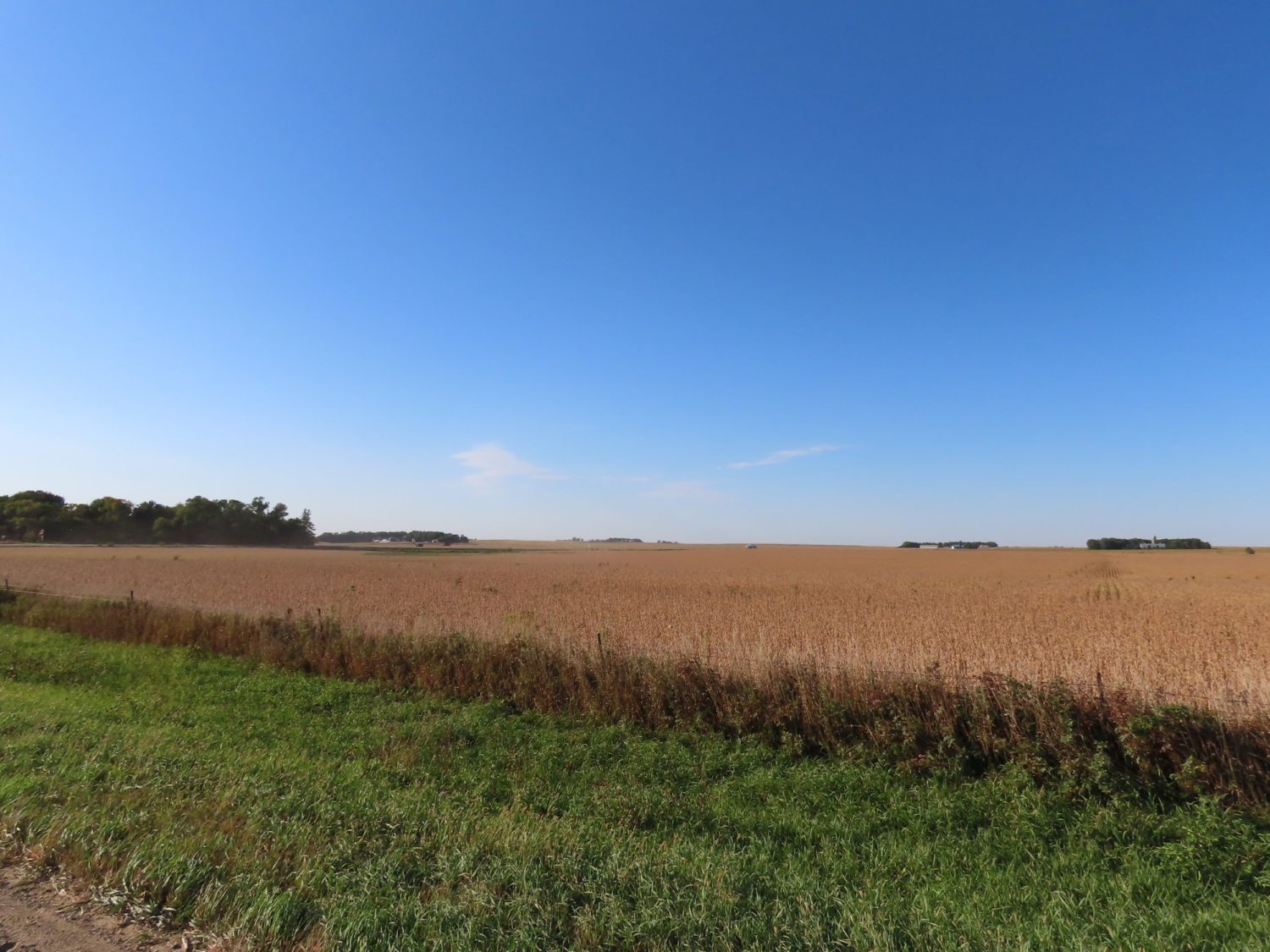 131.28 acres Highly Productive Springwater Township-Rock County Farmland at Auction!  - image 6