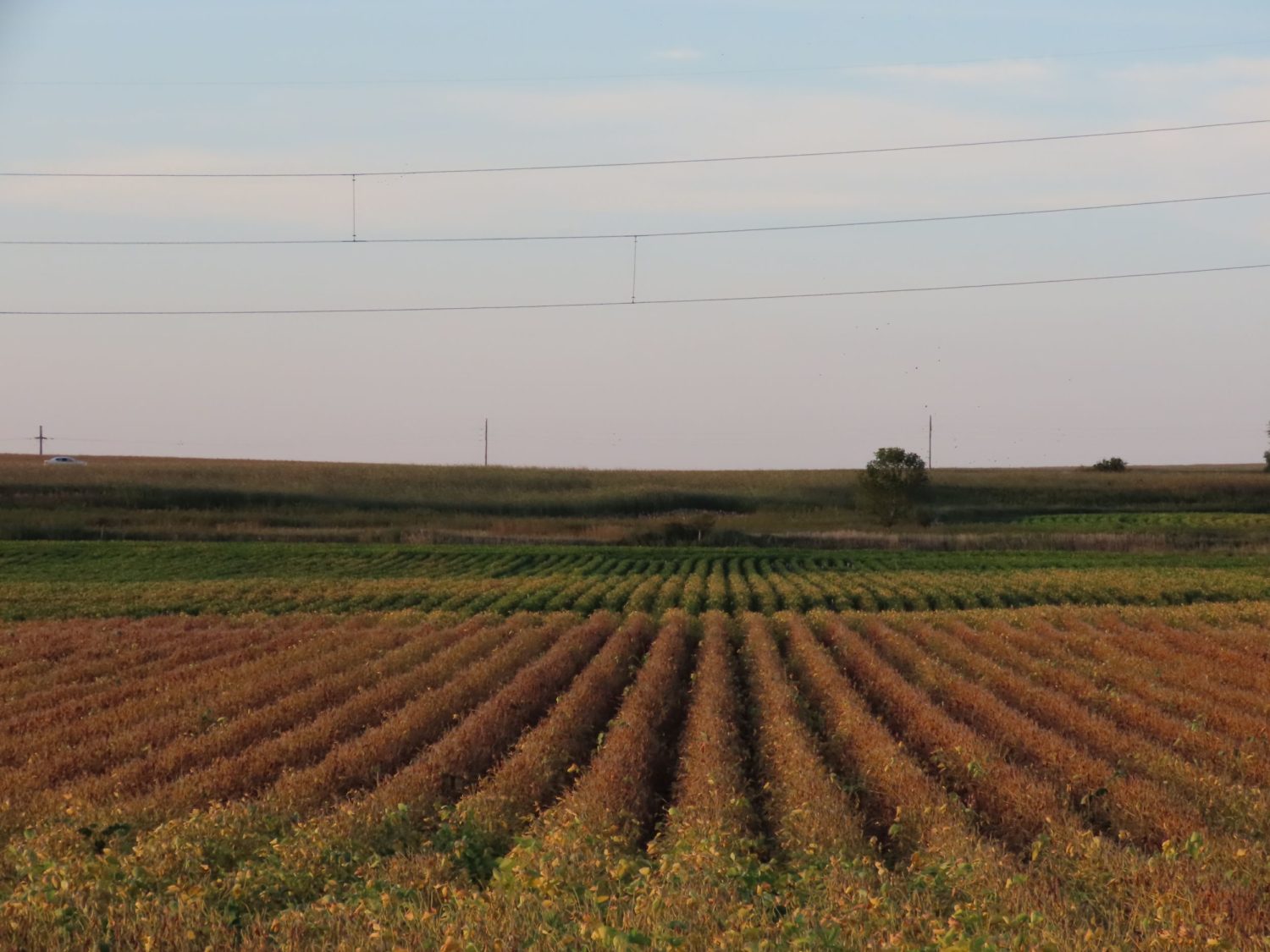 142.75 Acres of Nobles County Farmland at Auction!  - image 2