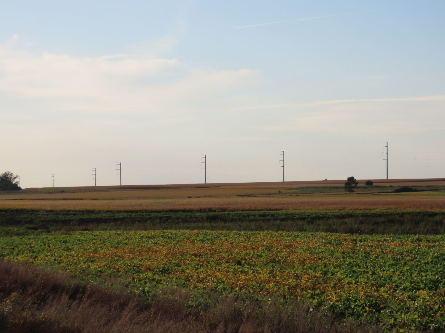 142.75 Acres of Nobles County Farmland at Auction!  - image 14