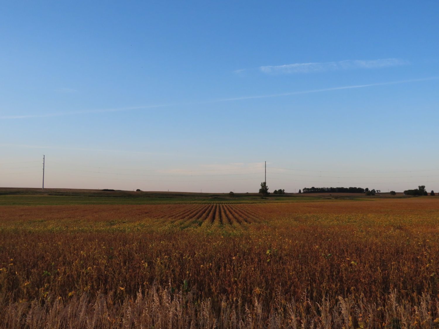 142.75 Acres of Nobles County Farmland at Auction!  - image 15