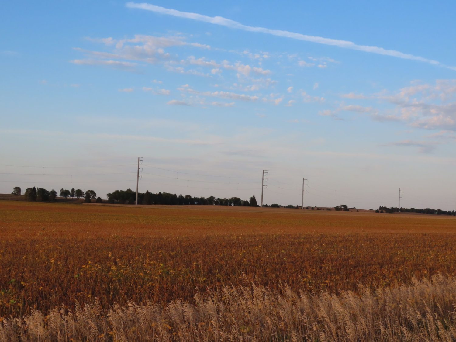 142.75 Acres of Nobles County Farmland at Auction!  - image 16