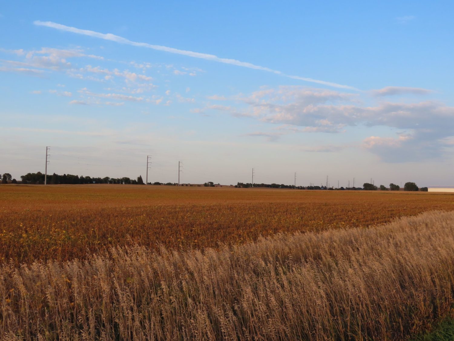 142.75 Acres of Nobles County Farmland at Auction!  - image 17