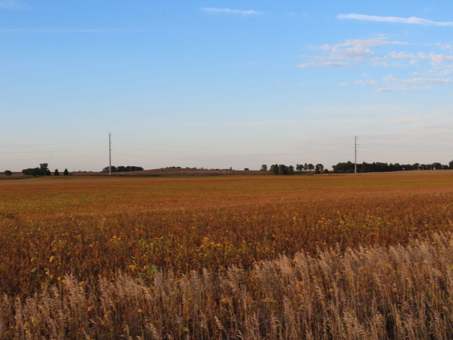 142.75 Acres of Nobles County Farmland at Auction!  - image 18