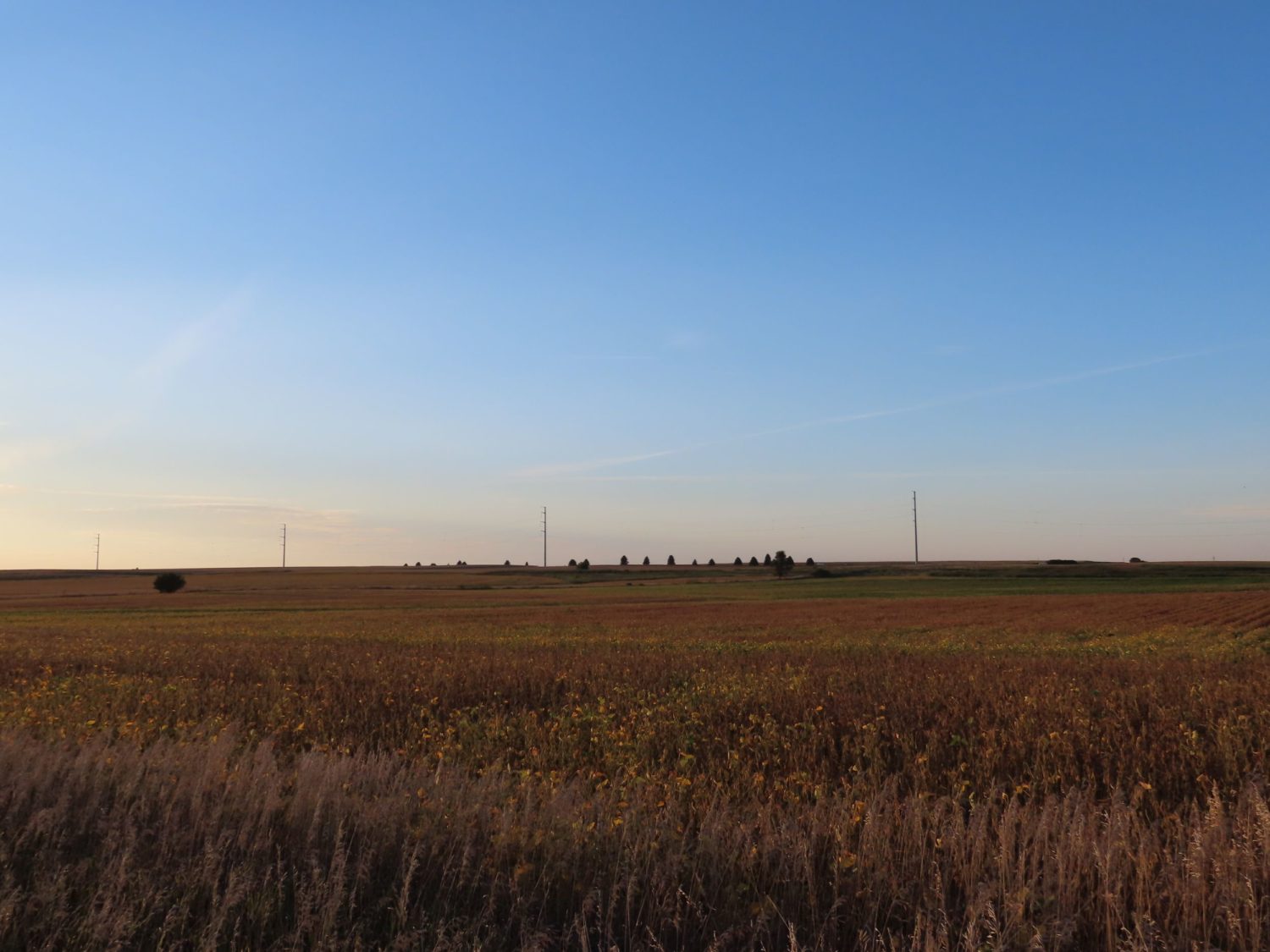 142.75 Acres of Nobles County Farmland at Auction!  - image 19