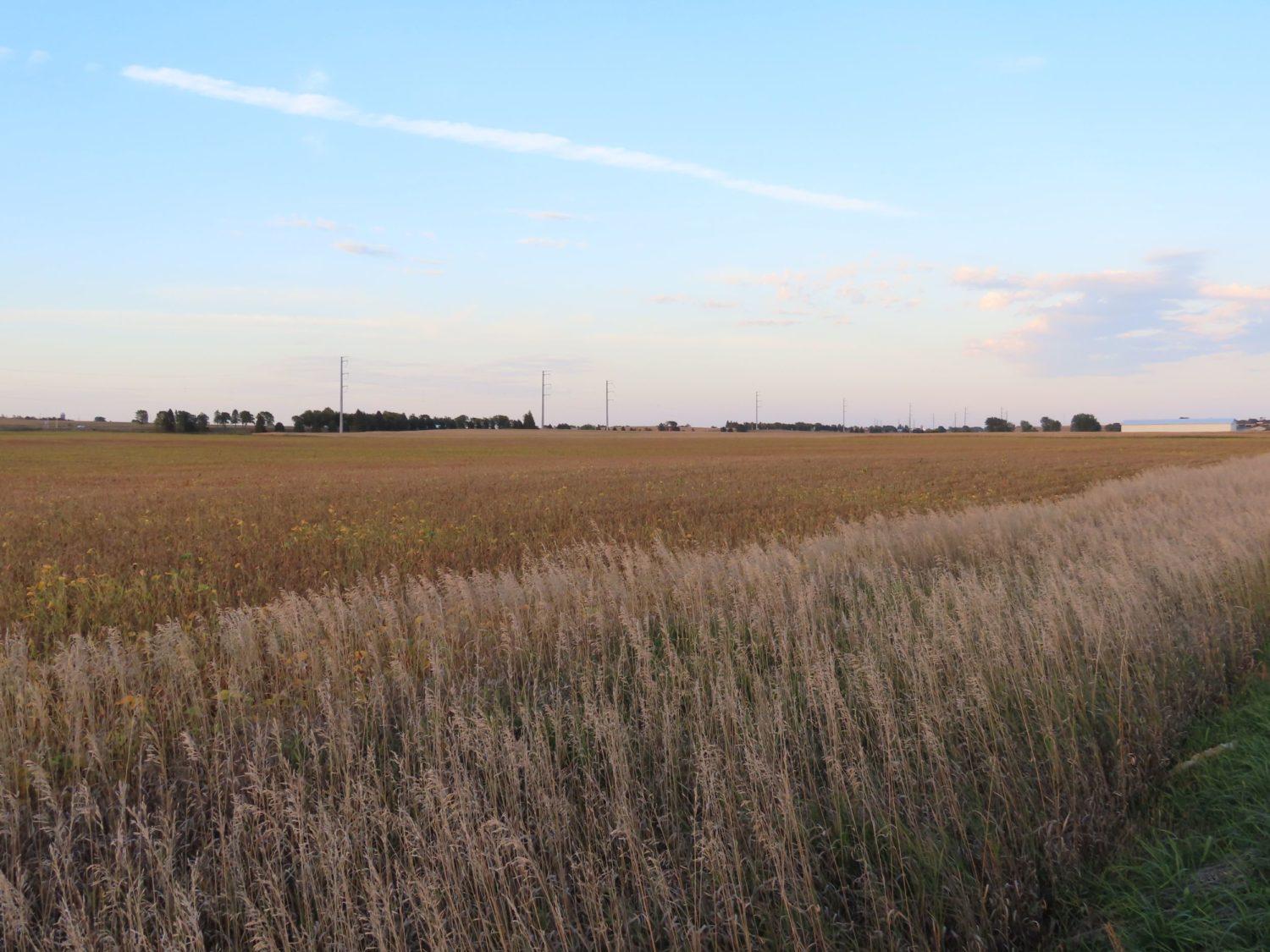 142.75 Acres of Nobles County Farmland at Auction!  - image 5