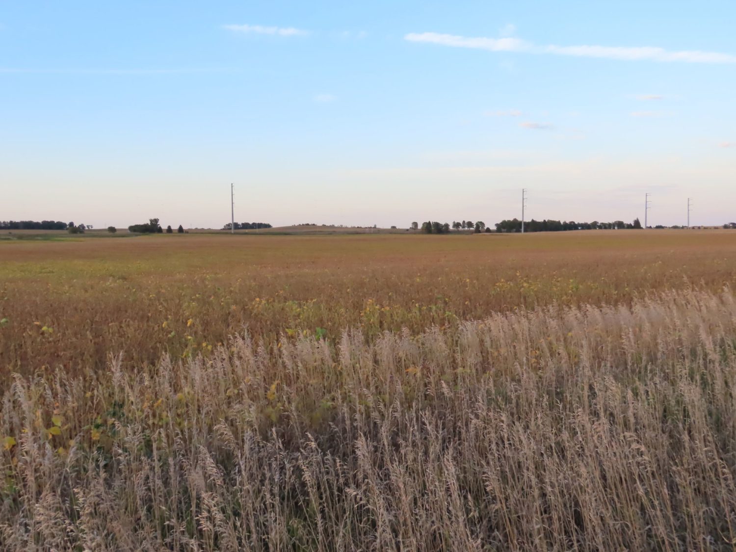 142.75 Acres of Nobles County Farmland at Auction!  - image 7