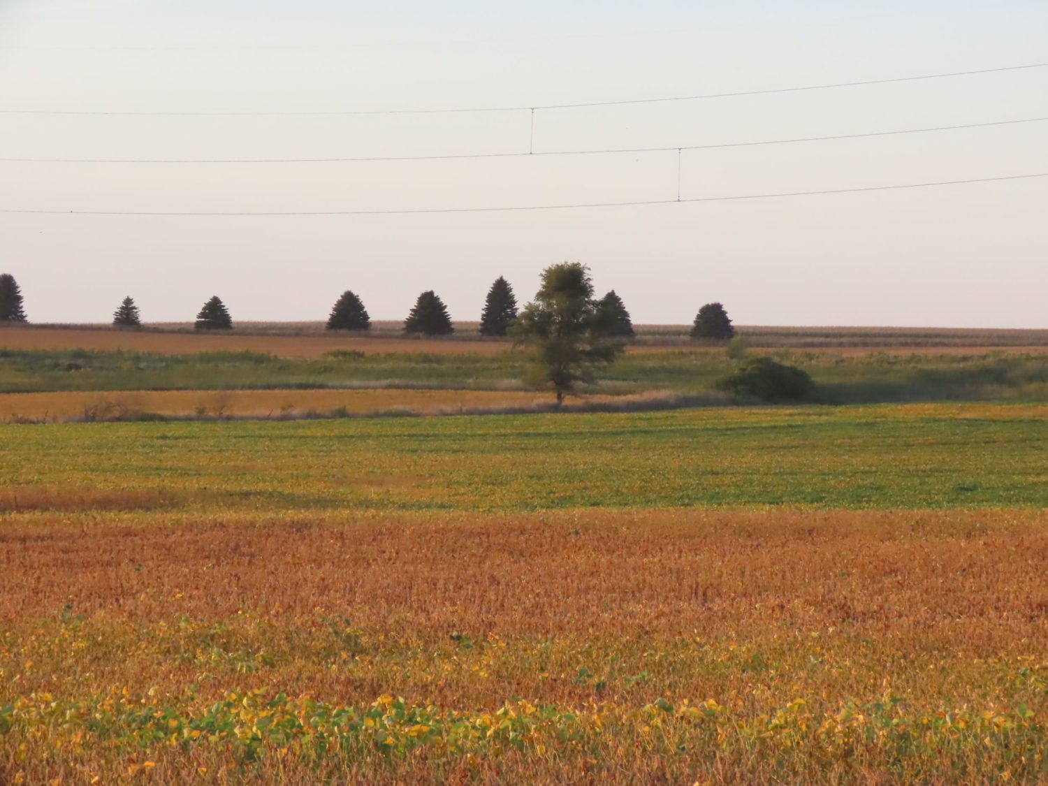 142.75 Acres of Nobles County Farmland at Auction!  - image 9