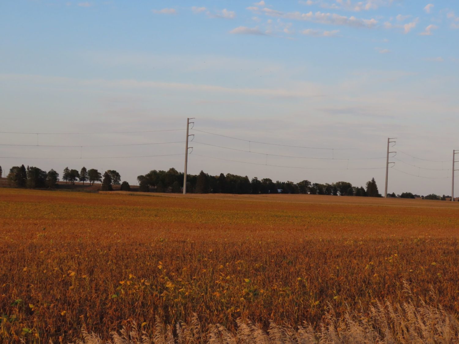 142.75 Acres of Nobles County Farmland at Auction!  - image 10