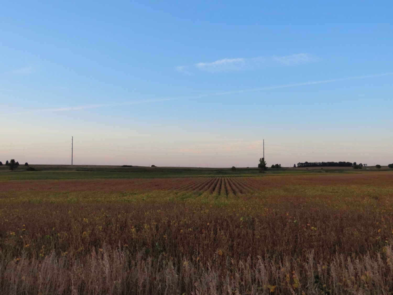 142.75 Acres of Nobles County Farmland at Auction!  - image 11