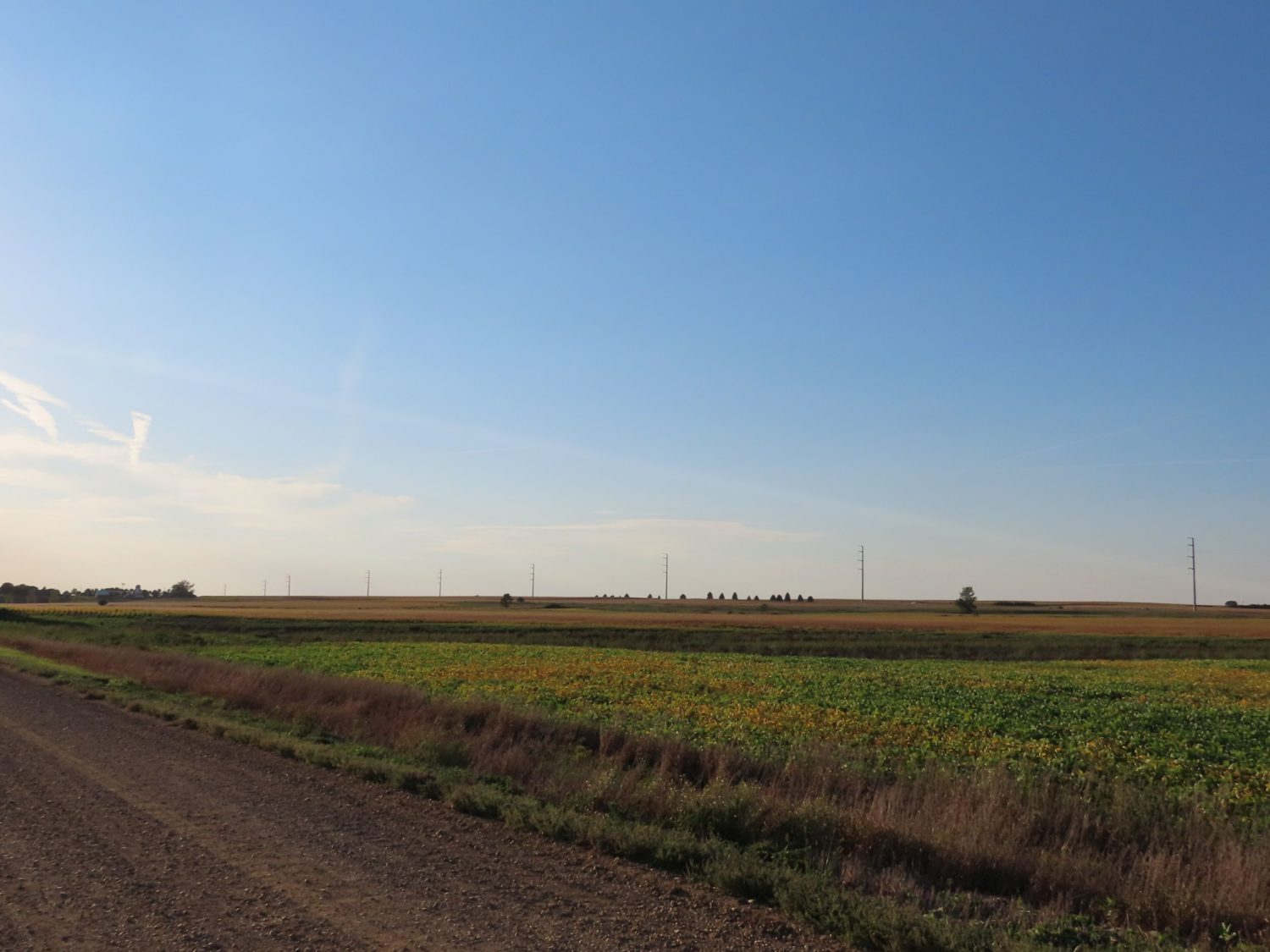 142.75 Acres of Nobles County Farmland at Auction!  - image 12